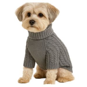 teddy bear dog sweater manufacturers