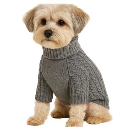 teddy bear dog sweater manufacturers