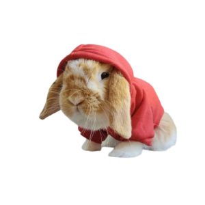 wholesale rabbit hoodies in bulk
