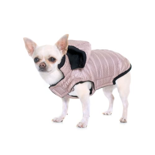 animal outerwear suppliers