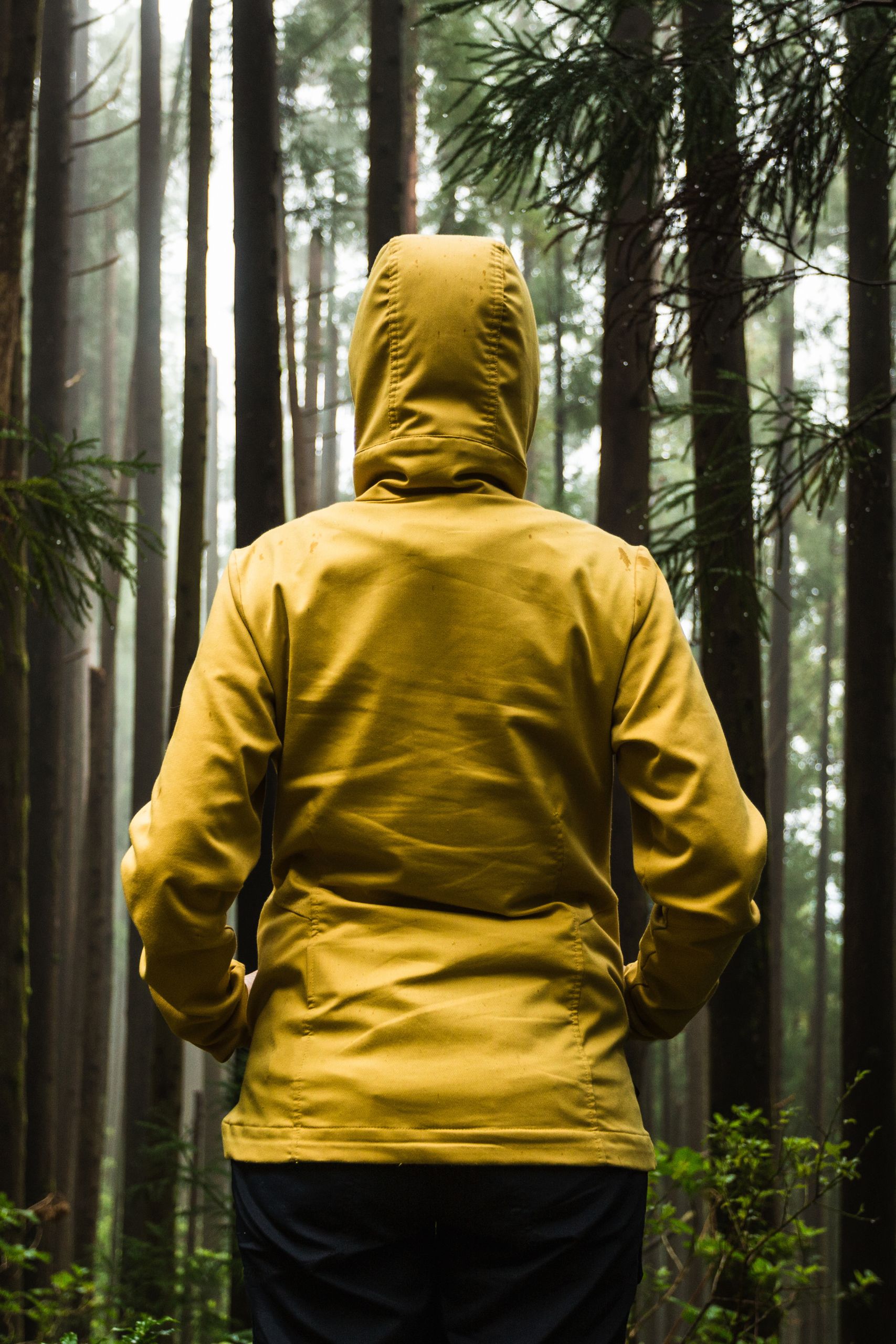 wholesale sustainable jacket suppliers